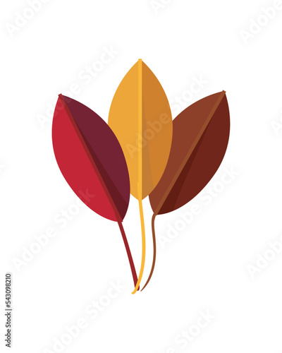 flat fall leaves