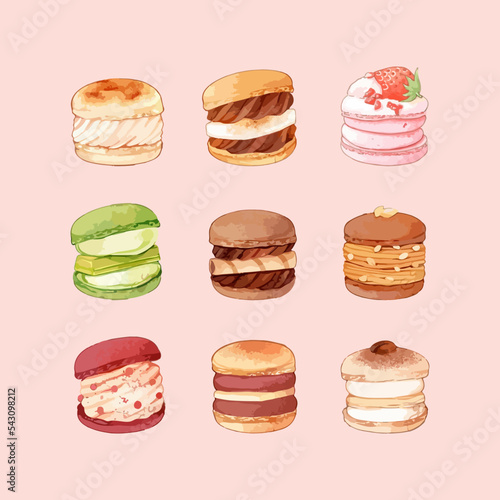 Set of macaroons with different flavors and fillings. Hand drawn watercolor vector illustration