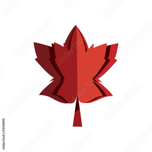 fall leaf design