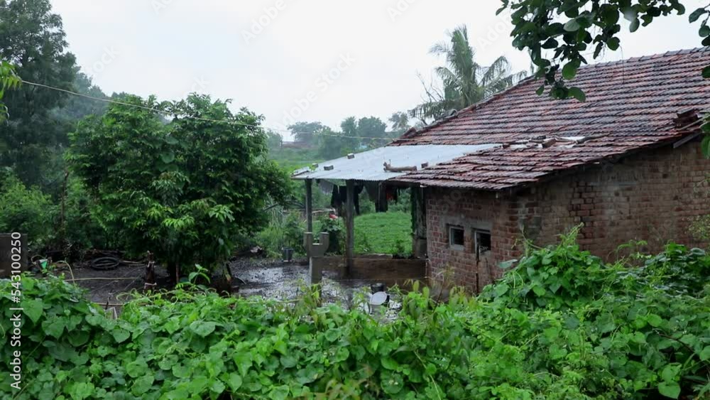 Rain In Village, Beautifll Monsoon Rain, rainy season in village Rain In Village, Beautifll Monsoon Rain, rainy season in village