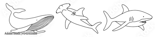 Vector shark and whale isolated on white background. Hand drawn outline doodle illustration ocean or underwater animal for coloring page
