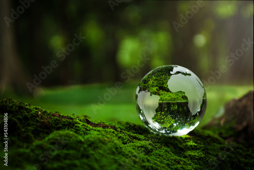 Crystal Earth On Soil In Forest With Ferns And Sunlight - Environment, save clean planet, ecology concept. Earth Day banner with copy space.
