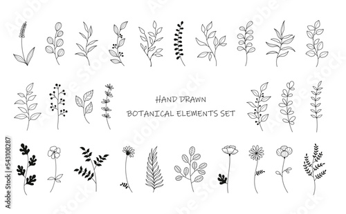 手描きのボタニカルイラスト線画セット