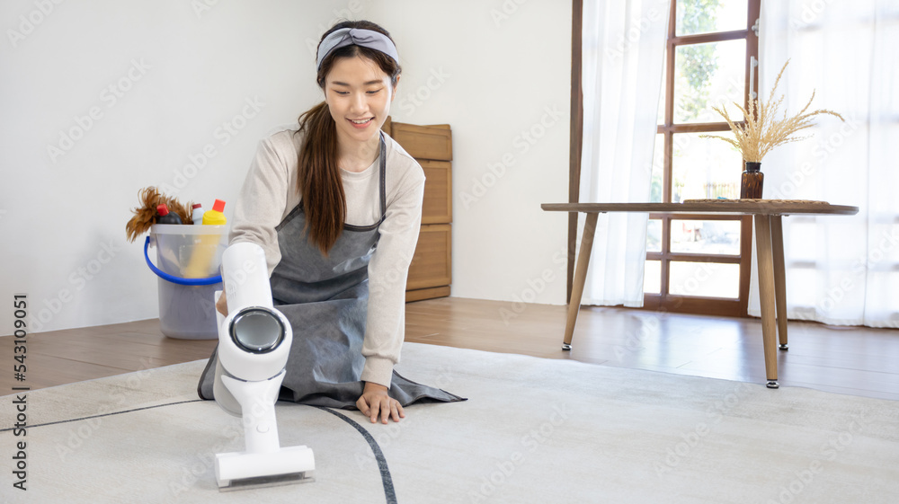 Beautiful woman vacuuming the floor and pillow of her living room, Big cleaning in the house, Removes germs and dirt and deep stains, Housewife cleaning, Keeping her home clean, Domestic hygiene.