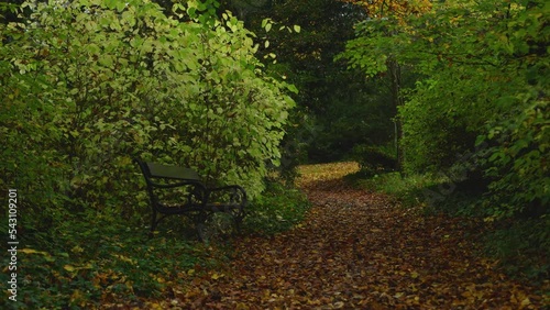 bench in the middle of the forest in fall photo