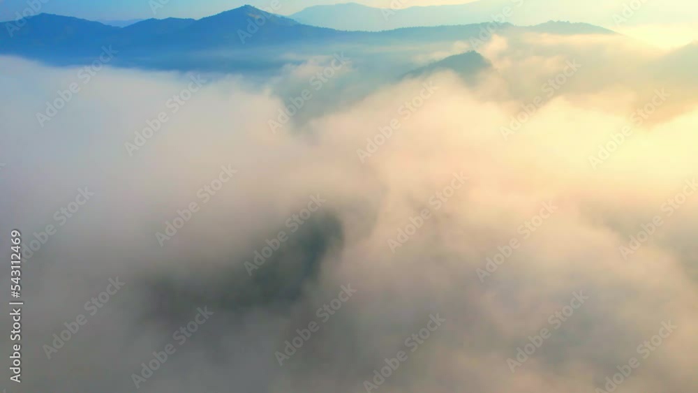 Drones are flying over dense fog in a tropical forest with during sunrise. forest and nature concept. Bo Kluea District, Nan Province, Northern Thailand. travel thailand. environment, ecosystem. 4K
Drones are flying over dense fog in a tropical forest with during sunrise. forest and nature concept. Bo Kluea District, Nan Province, Northern Thailand. travel thailand. environment, ecosystem. 4K