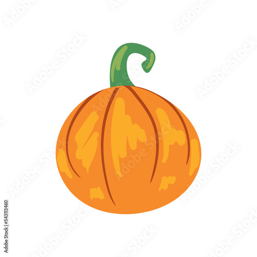 flat fall pumpkin