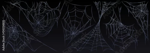 Obraz Spider web Halloween set, cobweb, spooky insect net collection design elements for greeting cards. Scary, horror decorative graphics isolated on black background, Cartoon vector illustration, clipart