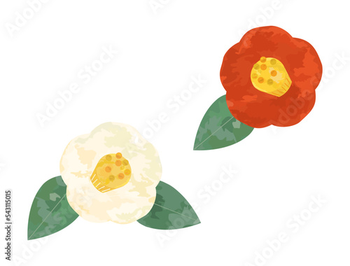 手描き風の赤と白の椿のイラストのセット