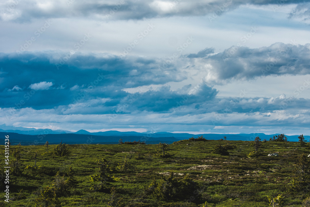 Naklejka premium View from Hafjell. A mountain in Lillehammer in Norway.