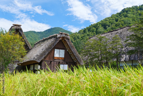 稲穂と青空と合掌造り