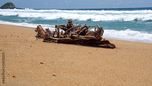 Waves breaking on the beach by a piece of driftwood, in Zipolite, Mexico photo