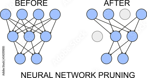 Neural network or decision tree pruning. Skew Deep Learning Models