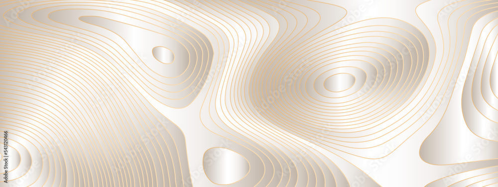 The stylized silver golden abstract topographic map with lines and circles background. Topographic map and place for texture. Topographic gradient linear background with copy space.Vector illustration The stylized silver golden abstract topographic map with lines and circles background. Topographic map and place for texture. Topographic gradient linear background with copy space.Vector illustration