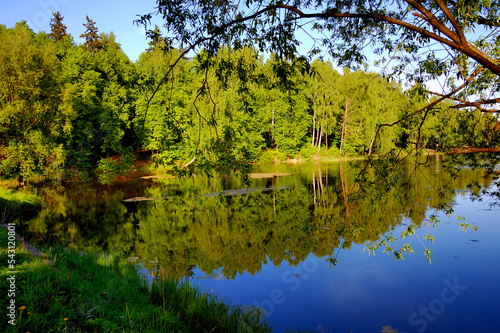 Summer Lake, Moscow region, Russia, A quiet warm day in early summer, the blue sky is reflected in the surface of the lake. On the edge of the forest. 