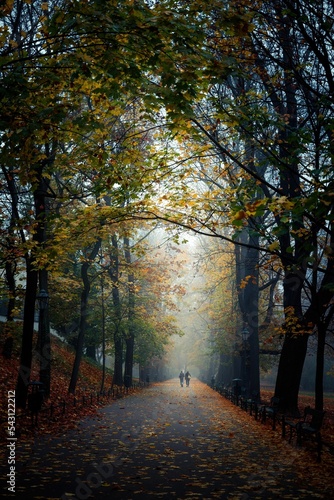 Para kobieta i mężczyzna na krakowskich plantach w mglisty jesienny poranek