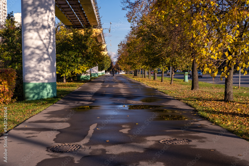Obraz premium autumn in the park