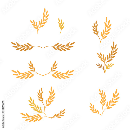 leaf or rice