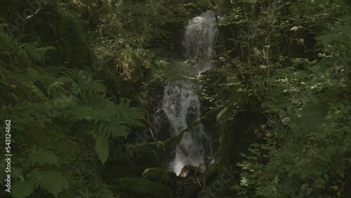 Waterfall flowing in dense forest / Glen Creran, Scotland photo