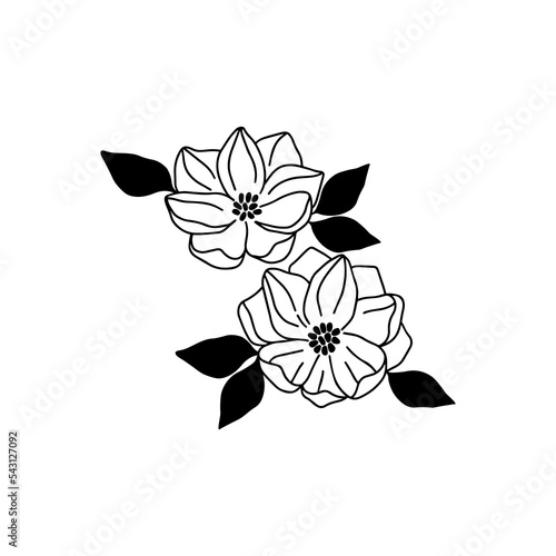 Magnolia flowers silhouette vector illustration. Hand drawn black line art nature painting on white background. Floral tropical design. © Alena Koval