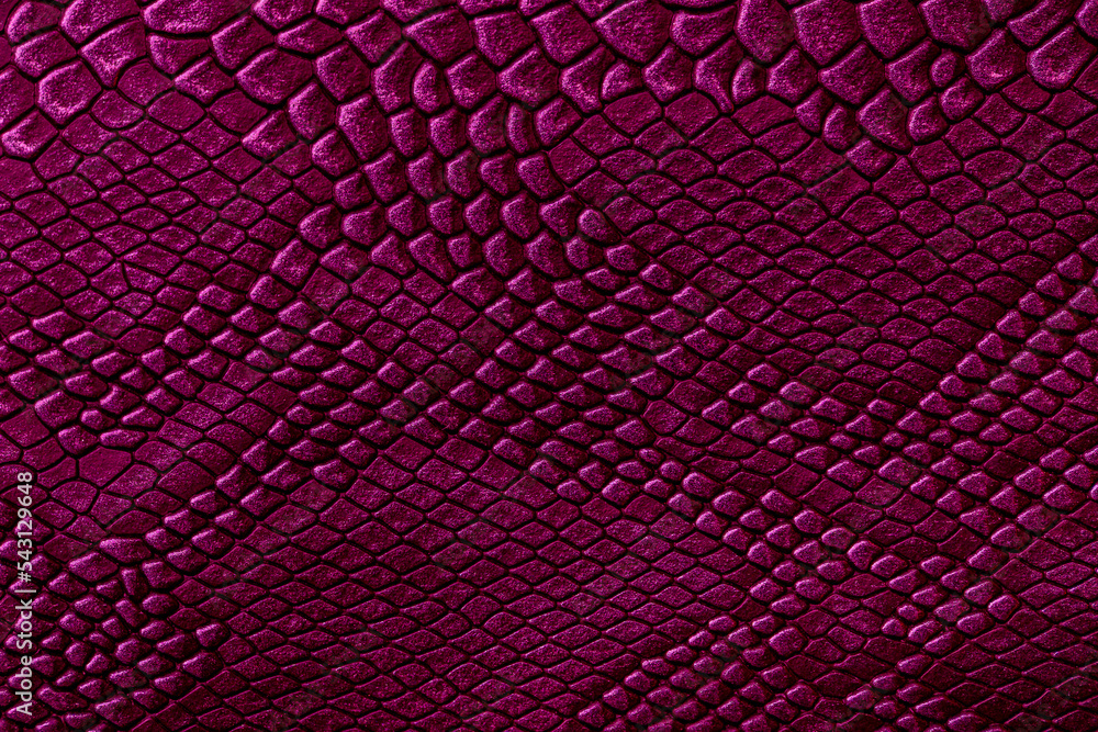 Beautiful red, pink bright snake or crocodile skin, reptile skin texture,  multicolored close-up as a background. Stock Photo