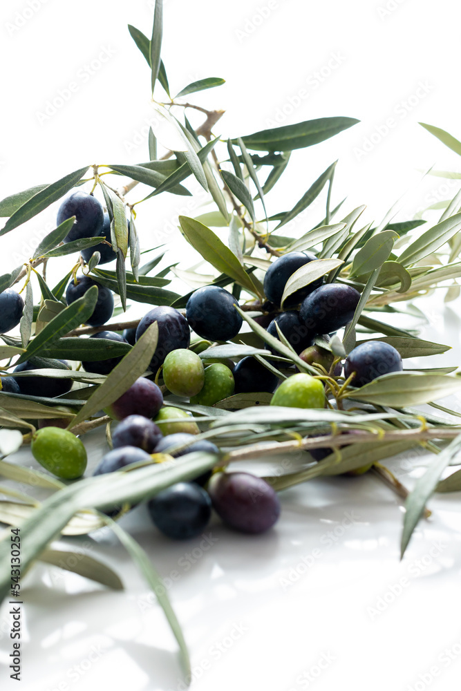 olives and olive branches on a white background. olives and olive branches on a white background.