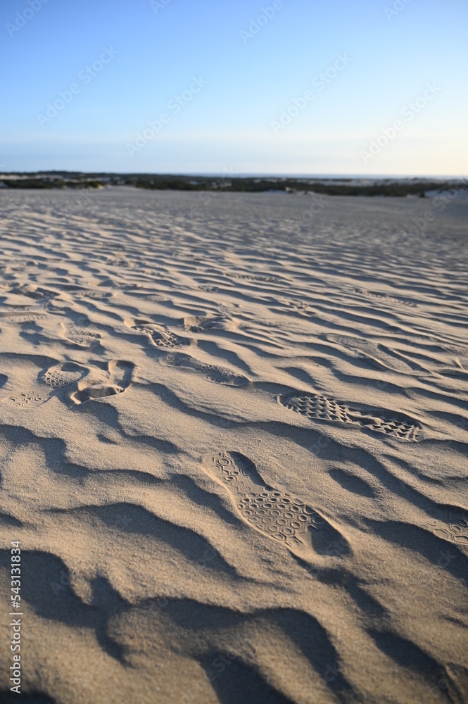 Fototapeta premium A small steps on the sand