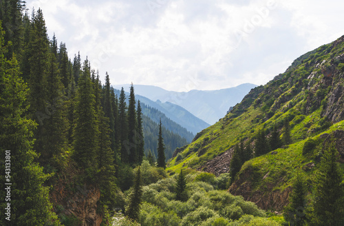 High mountains covered with spruce forest and green grass near Almaty city, Kazakhstan photo