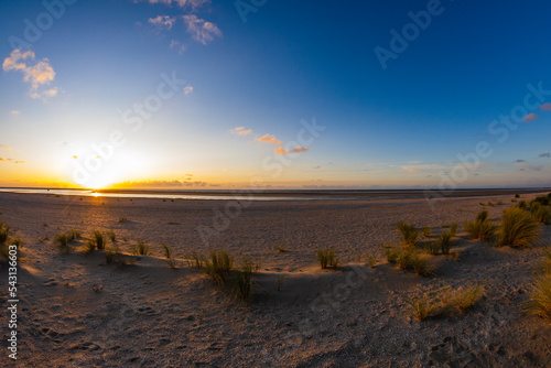 Sea coast during a calm summer sunset. Sea.