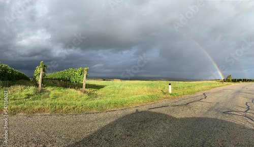 Regenbogen