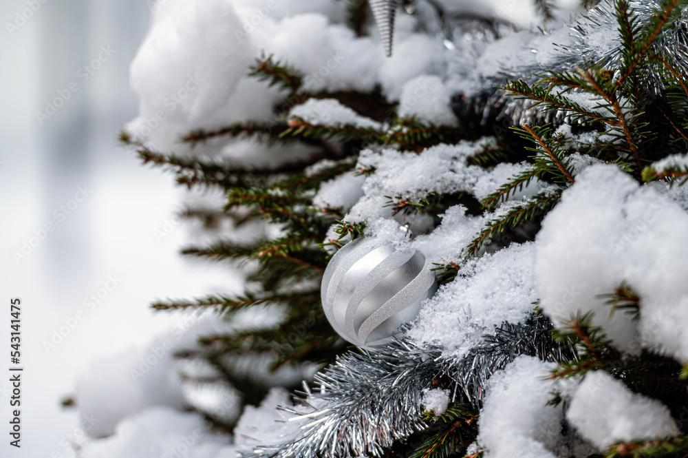 spruce covered with snow, Christmas ball on spruce branch, outdoor, closeup