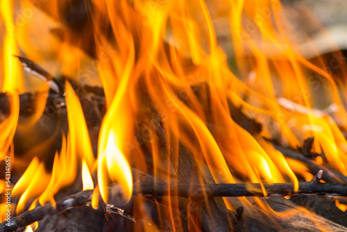 Bonfire flame, close-up. Bright orange flames.