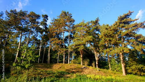 Wallpaper Mural Herbst Torontodigital.ca
