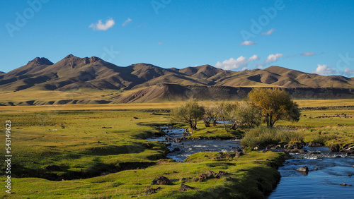River in Orkhon valley in Mongolia