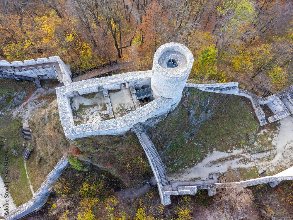 Castle ruins from a drone. View from above, photo from a drone. The castle in the forest.