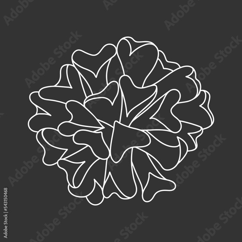 Succulent echeveria in doodle style, vector illustration. Desert flower for print and design. Outline mexican plant, graphic isolated element on chalk board background. Housplant for decor interior