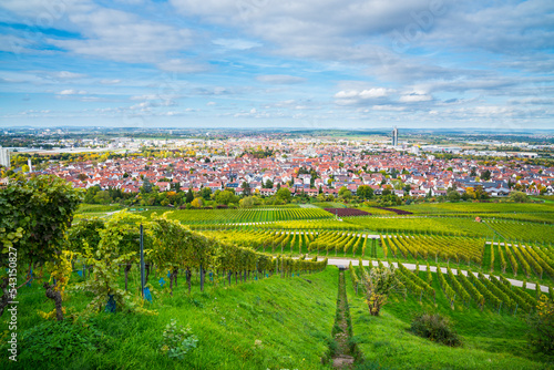 Germany, Fellbach city skyline vineyard panorama view autumn season above roofs houses tower at sunset