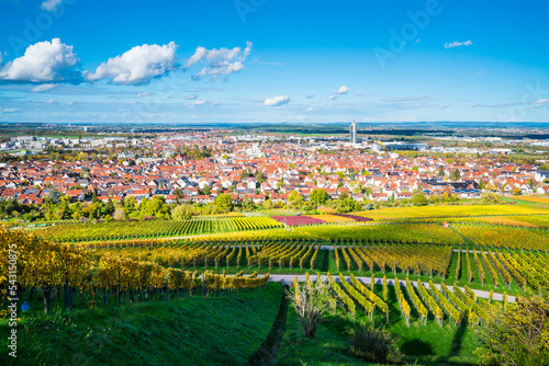 Obraz na płótnie Germany, Fellbach skyline city vineyard panorama view autumn season above roofs houses tower at sunset light w salonie
