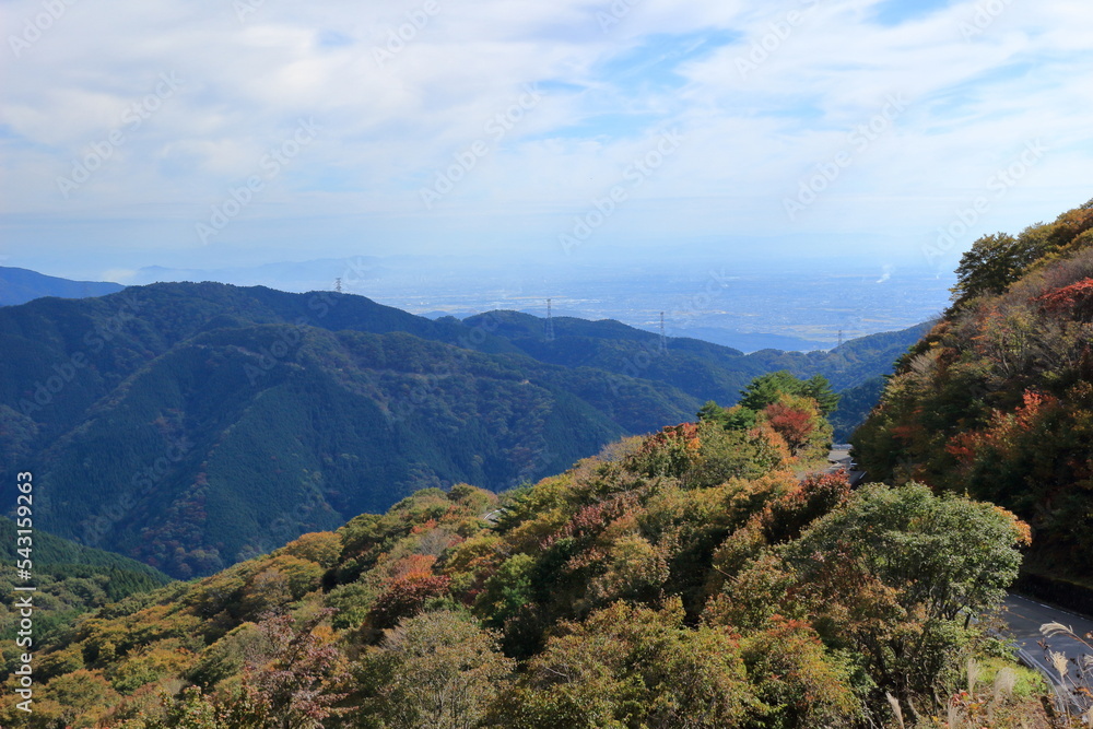 伊吹山ドライブウェイの紅葉