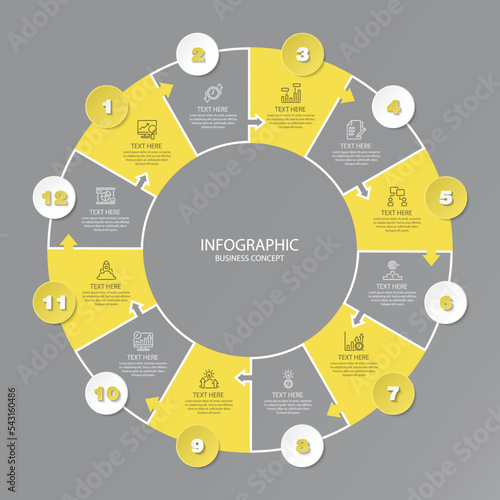 Basic circle infographic with 12 steps, process or options.