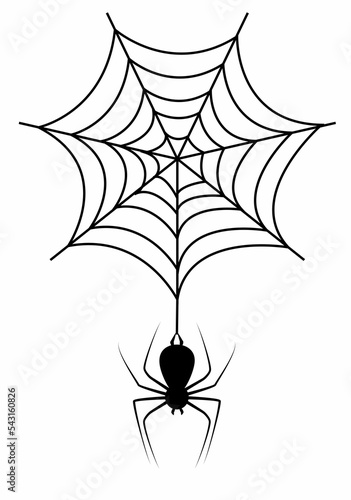 Print op canvas Spider web black isolated with a spider with white background