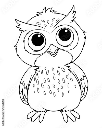 Little Owl Cartoon Animal Illustration BW