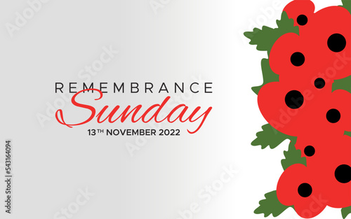 a graphic image commemorating Remembrance Sunday with copy space. vector base.