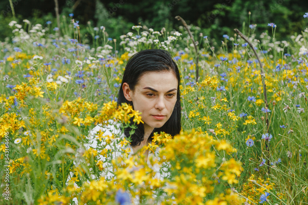 Beautiful girl among the summer field with wildflowers Beautiful girl among the summer field with wildflowers