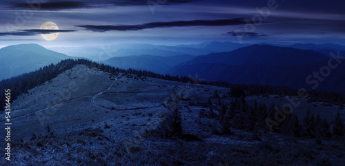 scenic chornohora ridge landscape in summer at night. beautiful scenery of carpathian mountains with coniferous trees and alpine meadows in full moon light. travel ukraine © Pellinni
