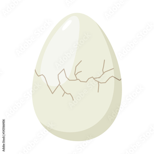 Cute chick in a cracked egg, hatching process. Vector illustration of birth step from egg to bird. Cartoon cracked egg isolated on white