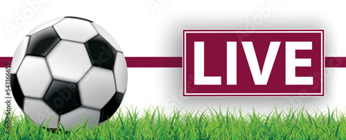 Football Side Grass Qatar Live Header