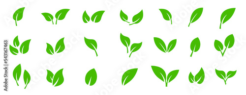 Leaves icon set. Collection green leaf for natural, eco, vegan, bio labels. Vector set photo