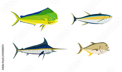 sea fish on a white background
