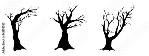 naked tree silhouette design. leafless plant illustration. nature vector background.